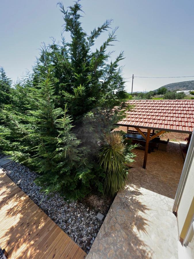 דירות טרוגיר Orange Tree Garden מראה חיצוני תמונה