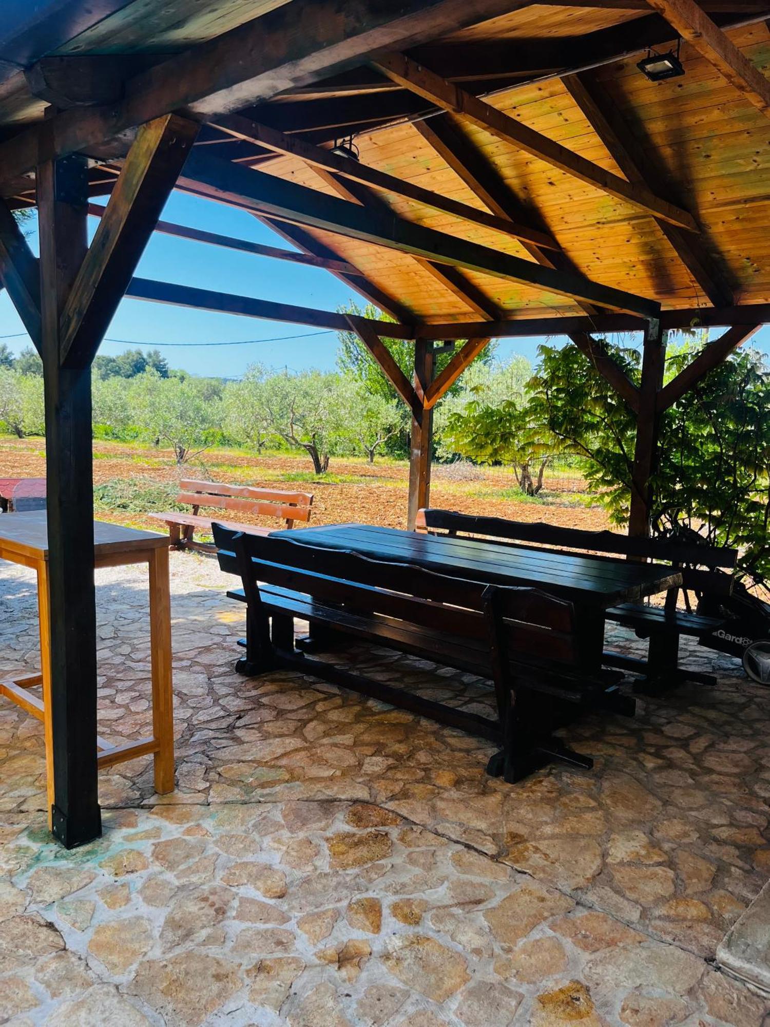 דירות טרוגיר Orange Tree Garden מראה חיצוני תמונה